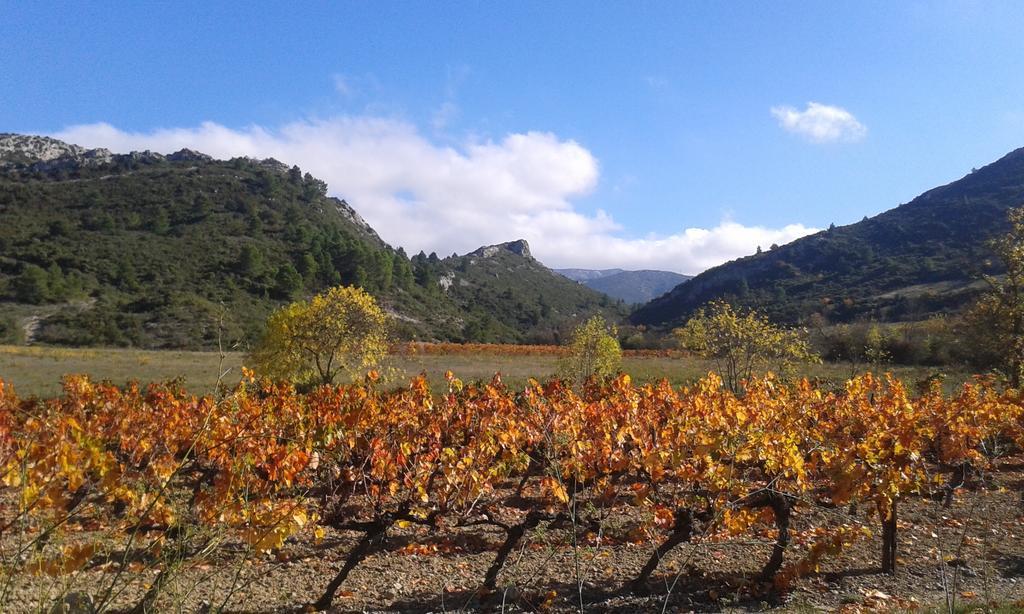 Au Paradis Cathare Fraissé-des-Corbières 외부 사진